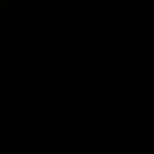 Meet your Posher, Jack